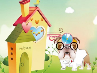 game - Doctor Bulldog's Pets Hospital